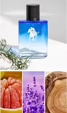 Set de Regalo de 4 Piezas de Colonia de Lujo para Hombre - 4 Botellas de 30ml de Perfume con Feromonas con Aroma a Vainilla y Colonia Premium para Hombre - Larga Duración