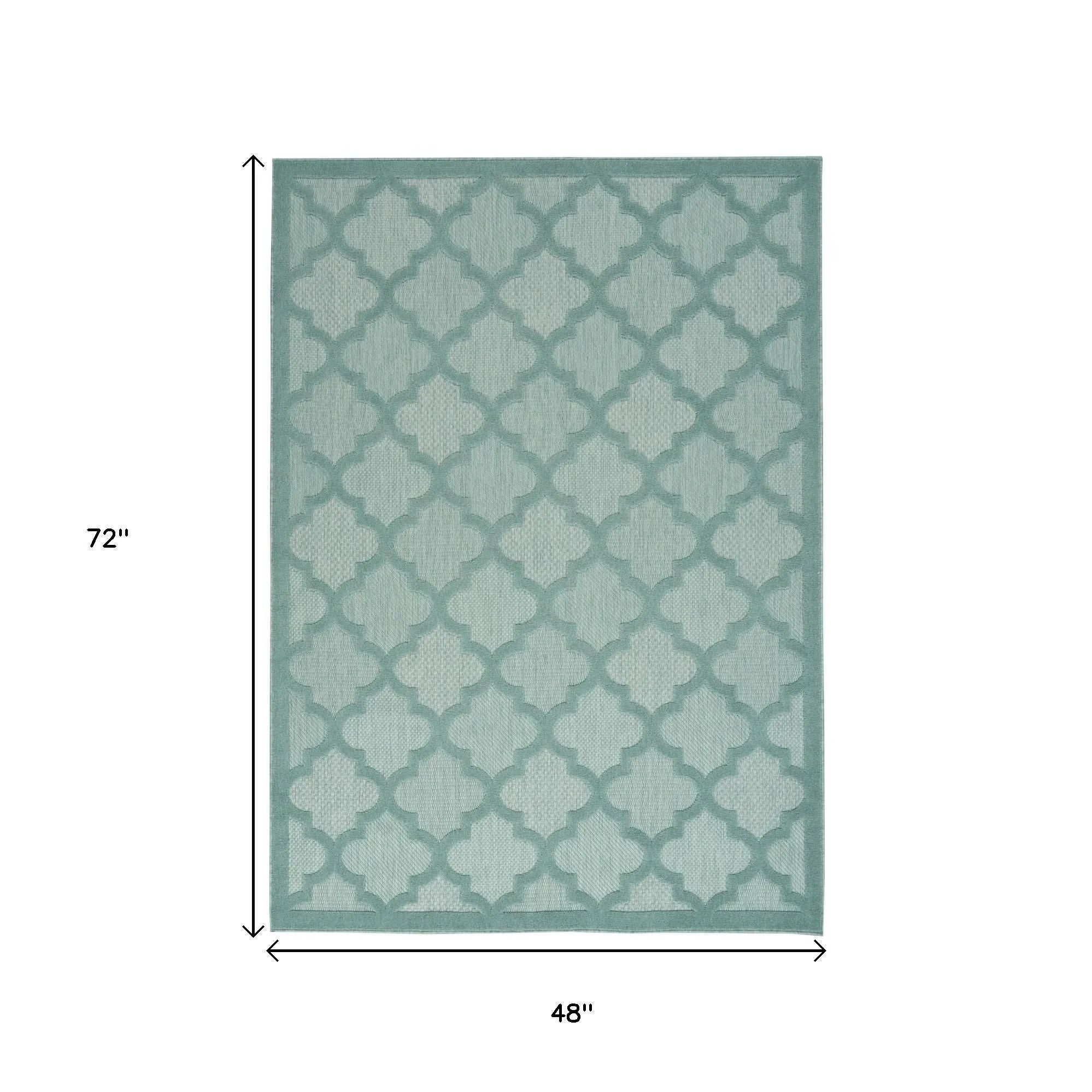 HMS 4' X 6' Aqua Indoor/Outdoor Area Rug