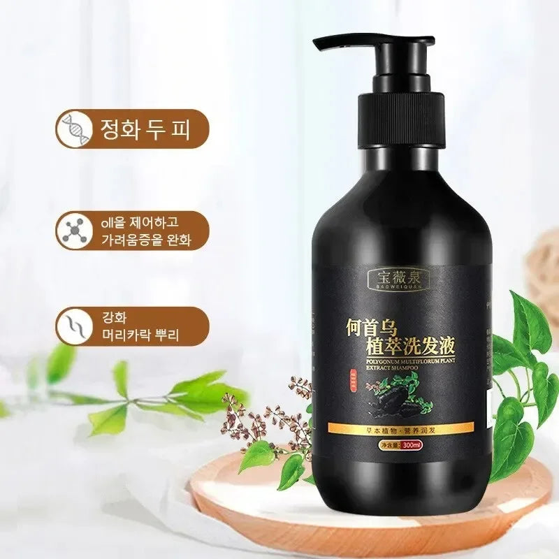 Herbal Polygonum Multiflorum Champú Control de aceite, Control de caspa, Champú para aliviar la picazón para hombres y mujeres