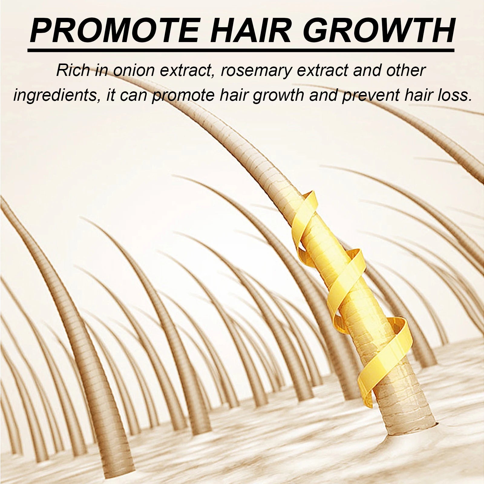 Biotina-Juego de champú de Romero para el cuidado del cabello, acondicionador para todo tipo de cabellos, libre de Parabeno, regalo para el cuidado del cabello saludable