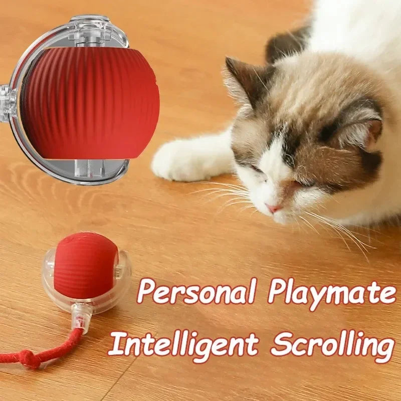 Nuevo juguete interactivo de pelota para gatos, bola rodante automática, cola de imitación, juguete eléctrico inteligente recargable para mascotas, entrenamiento para perros y gatos, ratón de imitación