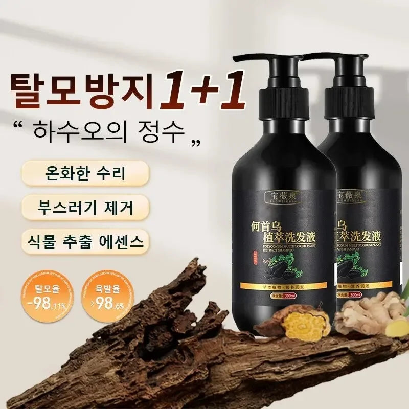 Herbal Polygonum Multiflorum Champú Control de aceite, Control de caspa, Champú para aliviar la picazón para hombres y mujeres