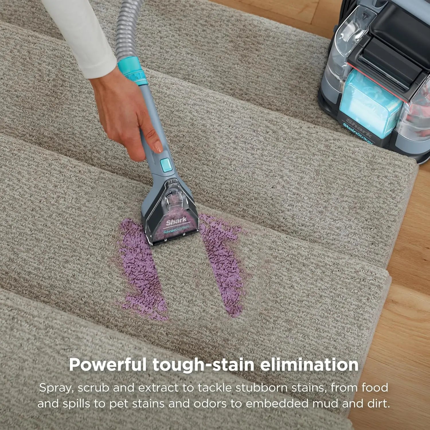 Limpiador Portátil de Alfombras y Tapicería |   4 Herramientas |   Potente Eliminador de Manchas y Olores |   Soluciones de Limpieza Profunda y OXY |   Azul