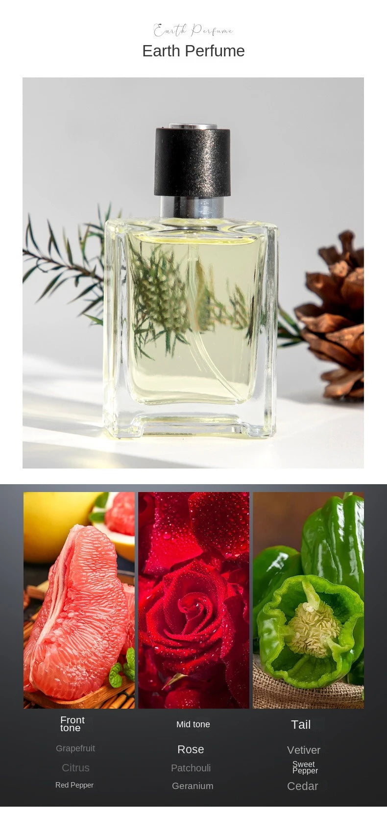 Perfume de marca de lujo para Hombre, Parfums de Colonia para Hombre, 120ml, Perfumes para Hombre, caja de regalo para Hombre, conjunto de 4 Uds., Spray aromático Floral de plantas
