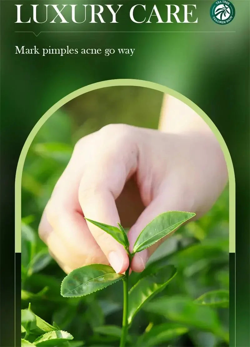 Crema para eliminar el acné del árbol de té, Control de aceite hidratante suave para el rostro, Gel Facial para eliminar el acné, espinillas, belleza y salud