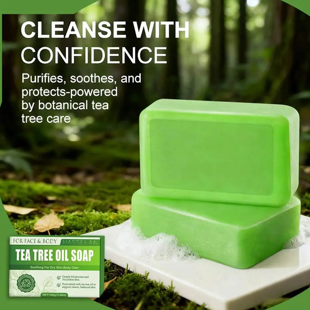 Jabón de Árbol de Té Verde, Jabón en Barra con Aceite de Árbol de Té, Jabones Naturales para Limpiar la Piel del Rostro, Cuerpo y Manos, Jabón en Barra Exfoliante Suave