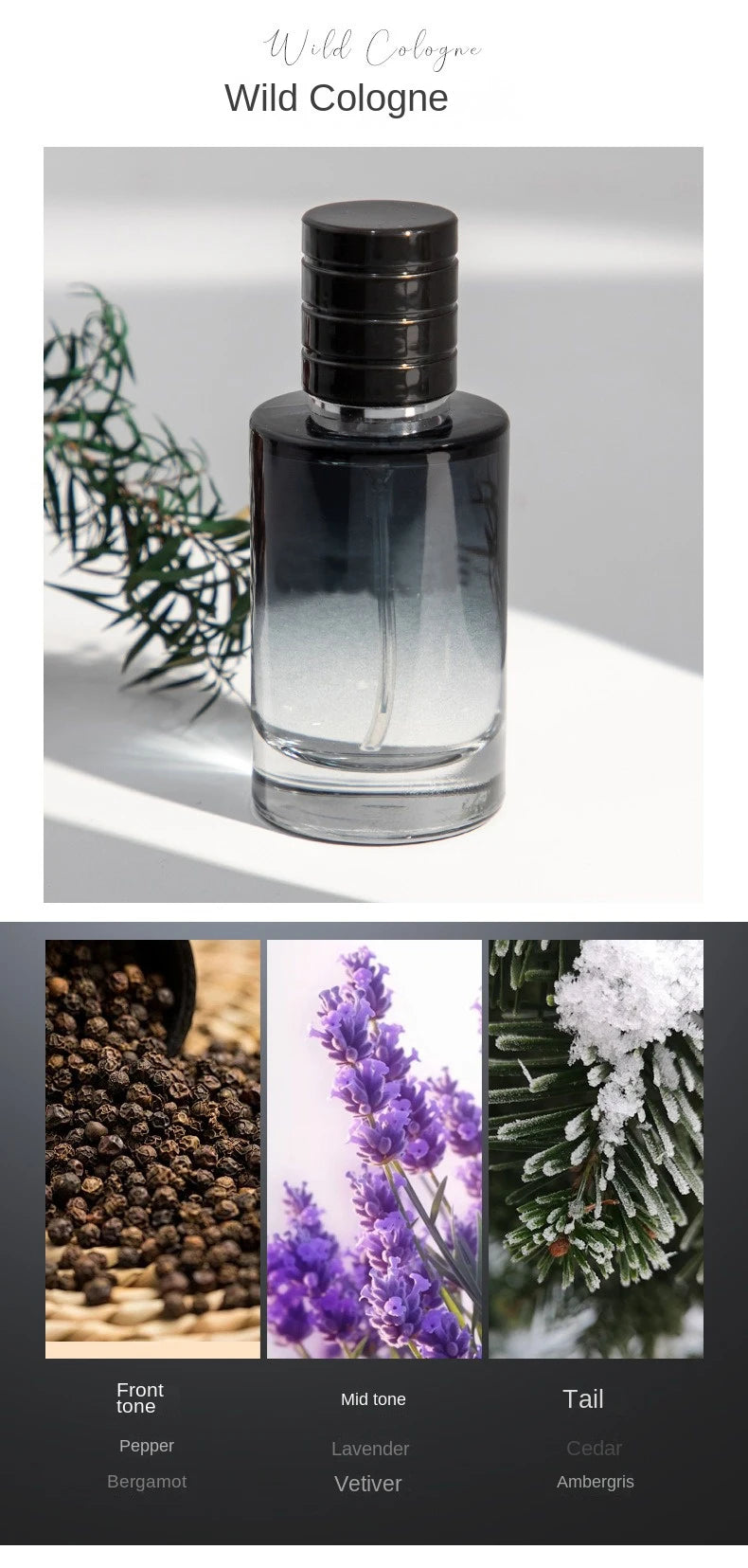 Perfume de marca de lujo para Hombre, Parfums de Colonia para Hombre, 120ml, Perfumes para Hombre, caja de regalo para Hombre, conjunto de 4 Uds., Spray aromático Floral de plantas