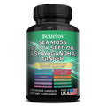 Musgo marino, aceite de semillas negras, ashwagandha, jengibre - Fortalece el sistema inmunitario, promueve la digestión y la salud de las articulaciones, 120 cápsulas
